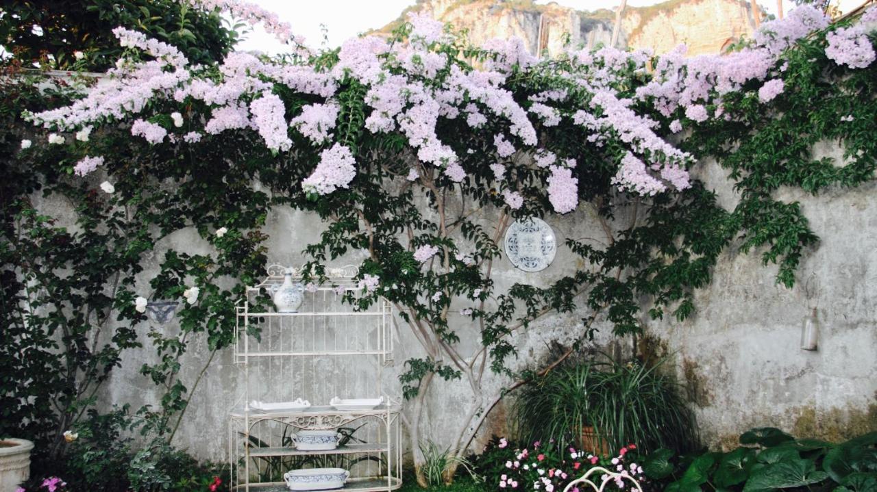Palazzo Cacace Relais Hotel Meta Exterior photo